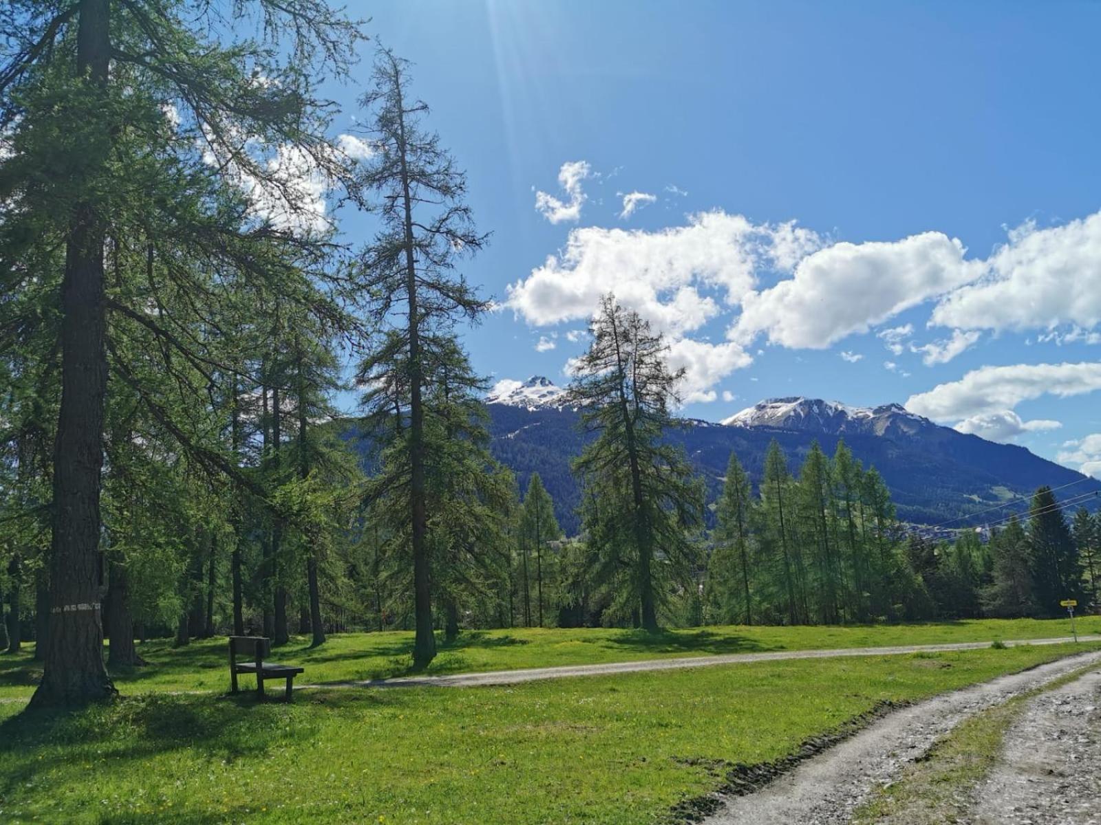 Tiroler Alpblick Appartements Ehrwald Esterno foto